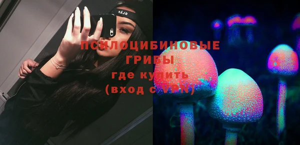 mdma Новозыбков