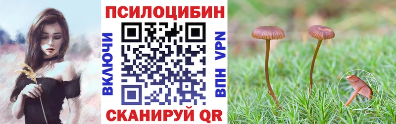 Псилоцибиновые грибы ЛСД Задонск